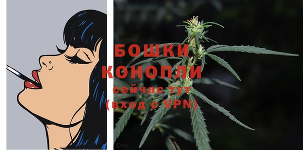 эйфоретик Новокубанск