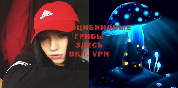 прущая мука Новозыбков