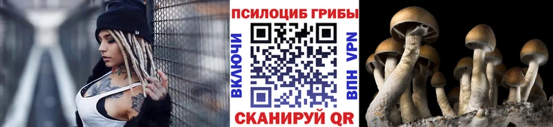 что такое   Заволжье  ссылка на мегу ссылка  Галлюциногенные грибы Magic Shrooms 