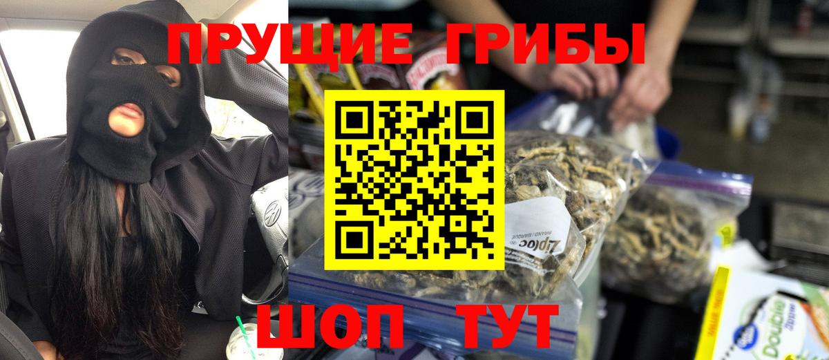 Галлюциногенные грибы GOLDEN TEACHER  Заволжье  Псилоцибиновые грибы GOLDEN TEACHER 