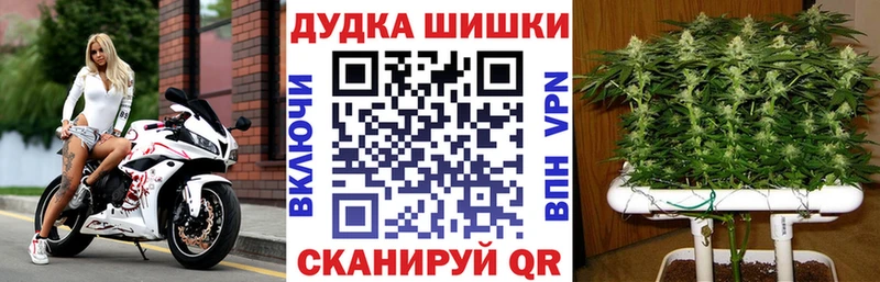 Канабис Amnesia Заволжье
